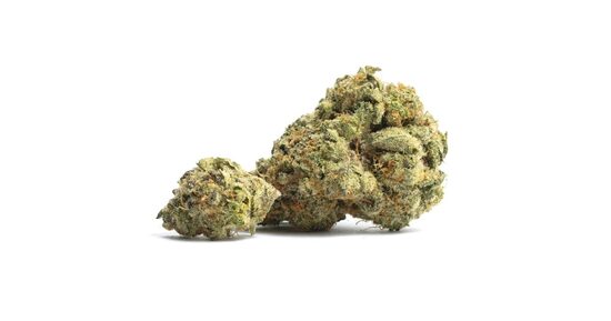 CBD Kanapių Žiedai TEQUILA SUNRISE – Egzotiškas Aromatas ir Subtili Raminanti Patirtis